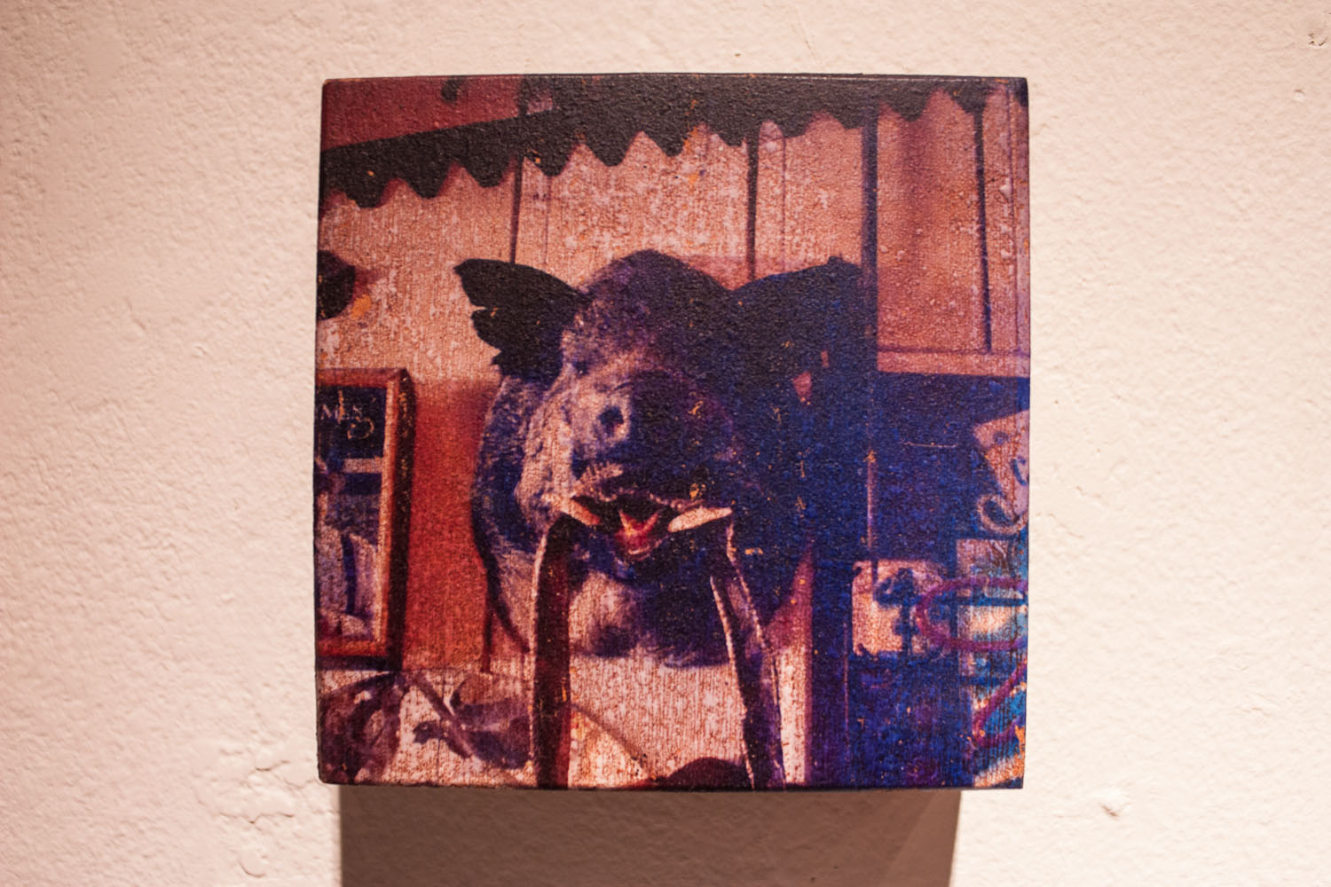 Vernacular_1500X1000-241