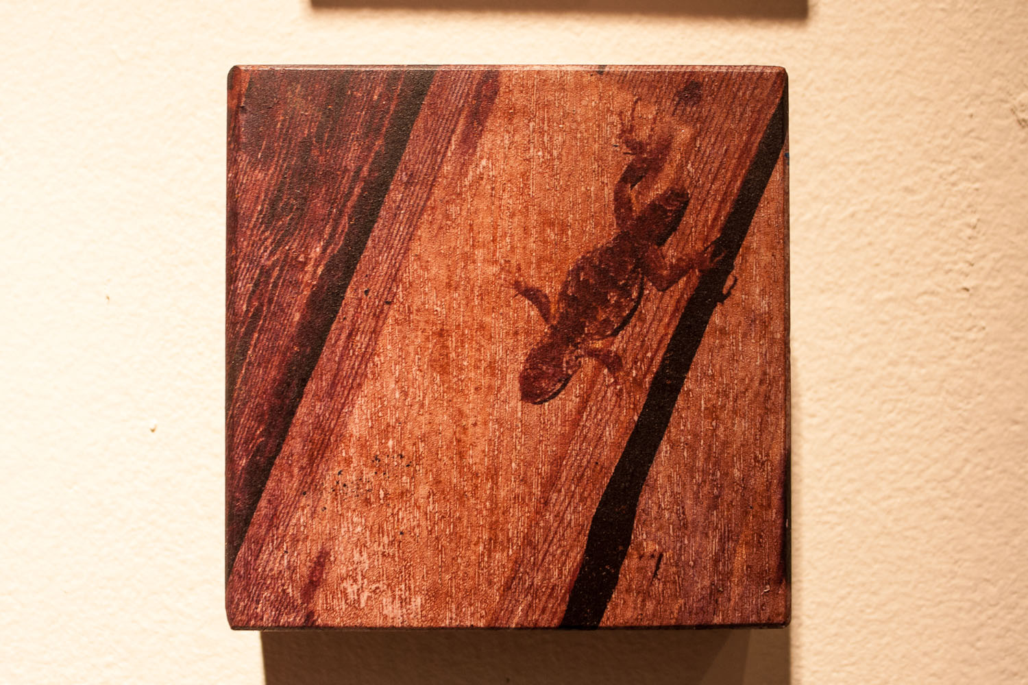 Vernacular_1500X1000-321