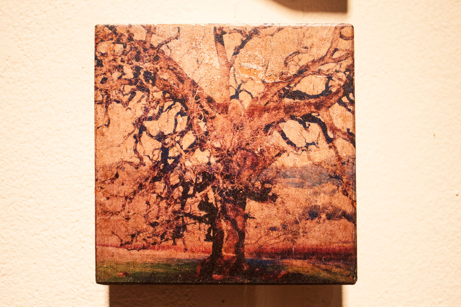 Vernacular_1500X1000-331